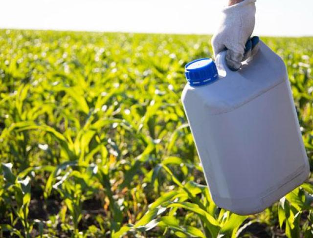 Fertilizantes Agrícolas em Sinop - MT