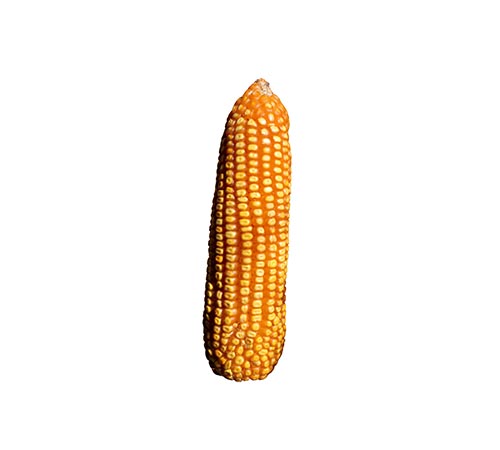 Glyfos RR2