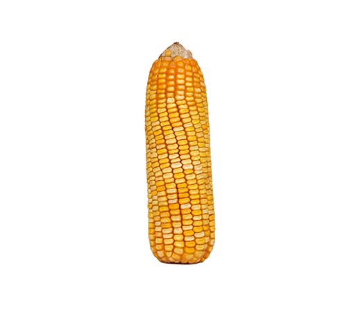 BM 812 BTMAX