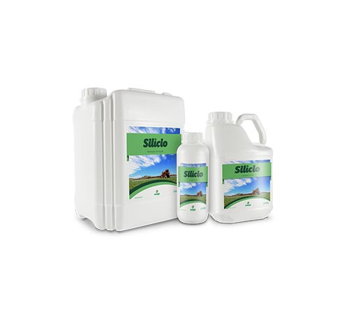 SILÍCIO – Fertilizante à Base de Silicato de Potássio