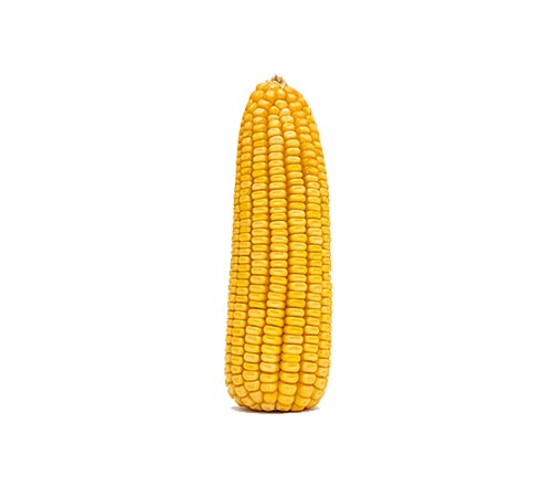 BM 3072 Agrisure Viptera 3