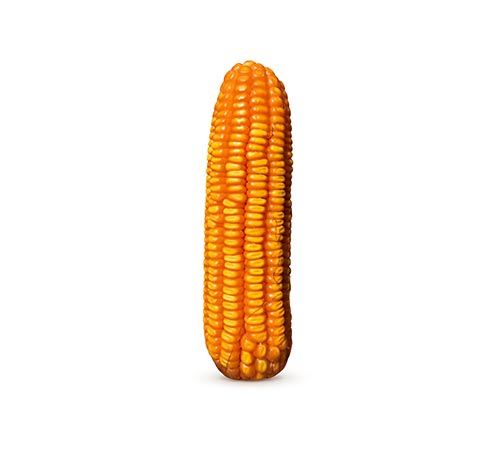 BM 183 Agrisure Viptera 3