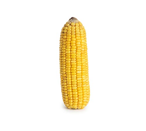 BM 3099 BTMAX