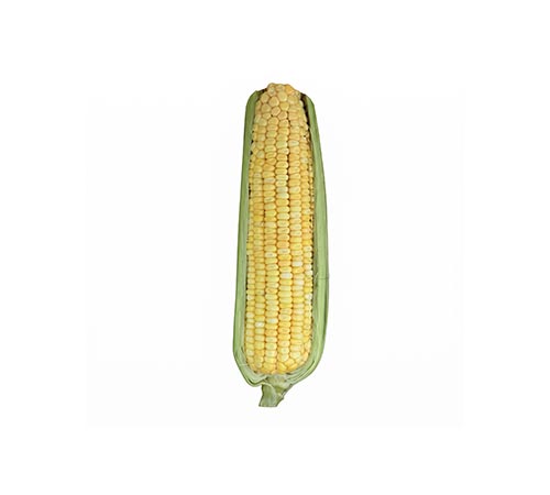 BM 3051