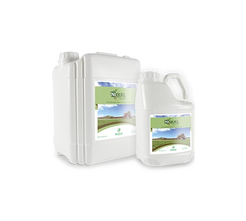 NÍQUEL TOP – Fertilizante à Base de Níquel e Enxofre