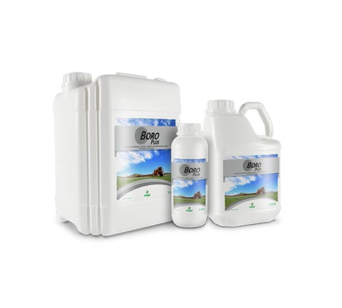 BORO PLUS – Fertilizante à Base de Boro