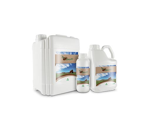 ZINCO 10 – Fertilizante à Base de Zinco