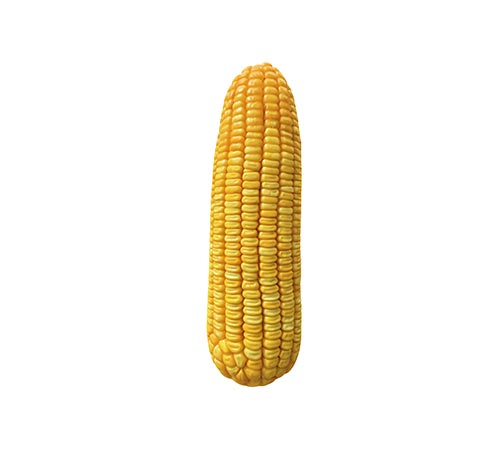 BM 3066 BTMAX